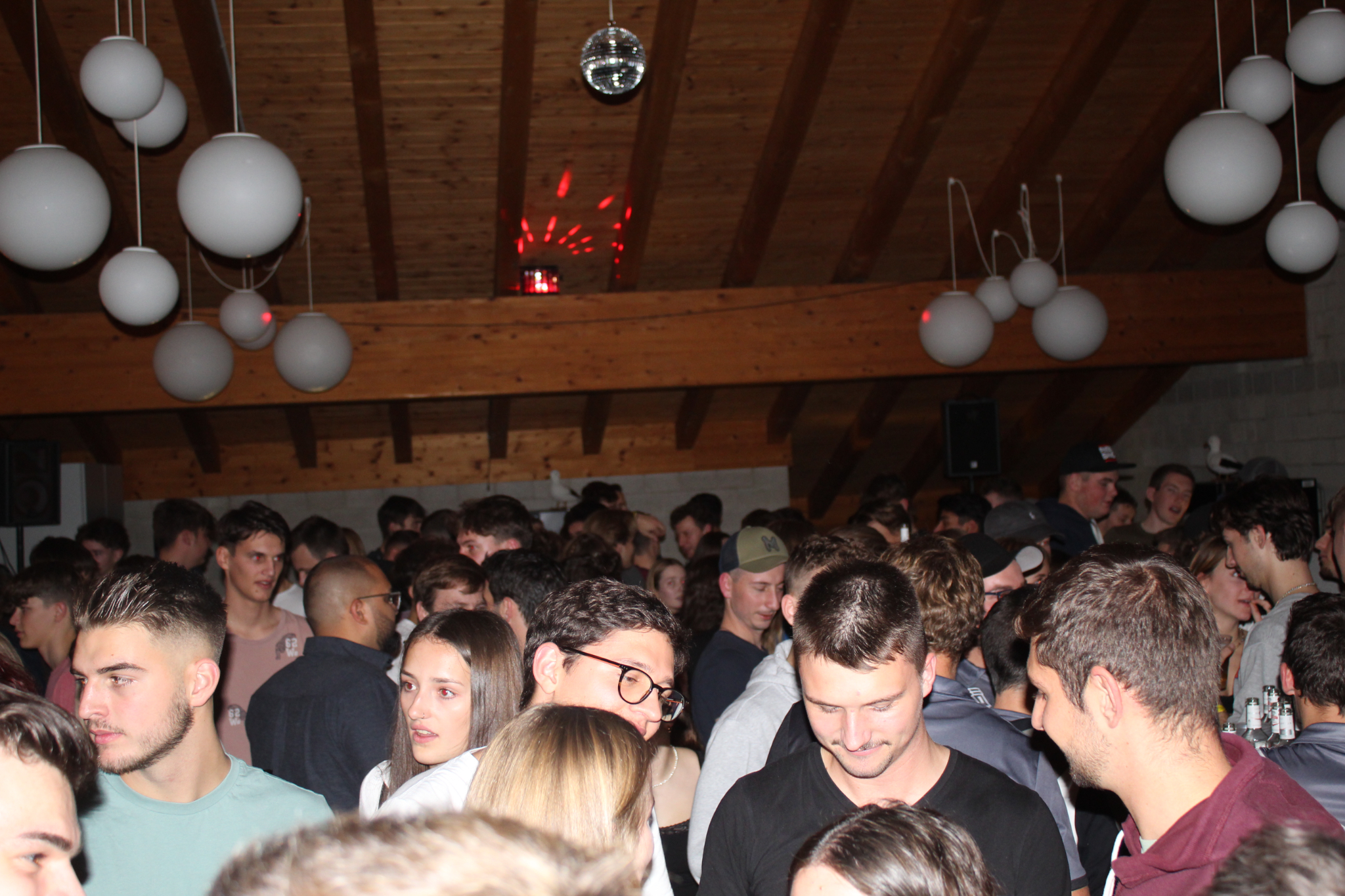 Bild (550)